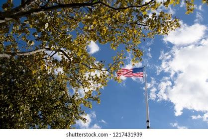 American Flag Autumn Tree Branch Stock Photo (Edit Now) 1217431939