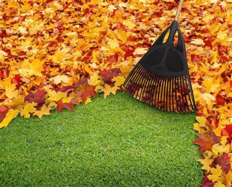 Fall Leaf Clean Up & More - TNT Landscaping & Excavation