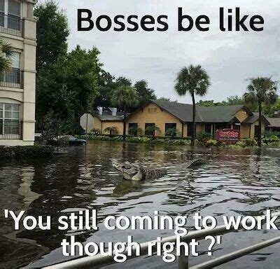 Hurricane Memes for Floridians – 20 Pics Hurricane Memes, Hurricane Party, Funny Images, Funny ...