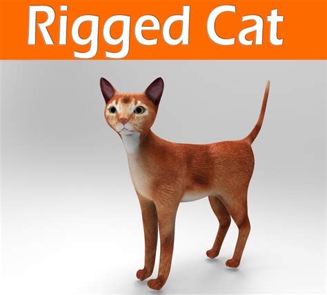 3d cat rigged model