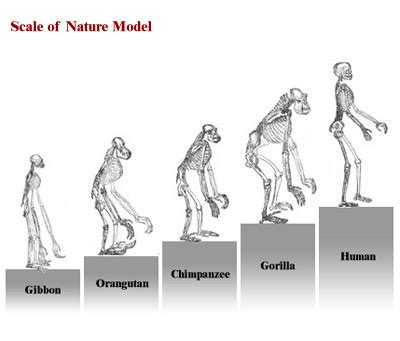 Charles Darwin III | Biology | Visionlearning