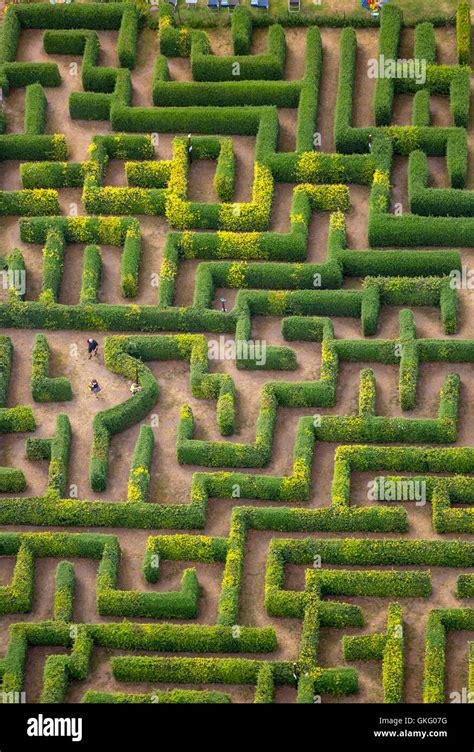 Aerial view, hedge maze, labyrinth, maze Bollewick, Bollewick ...