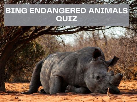 Bing Endangered Animals Quiz - Test Your Knowledge on Bing Quiz