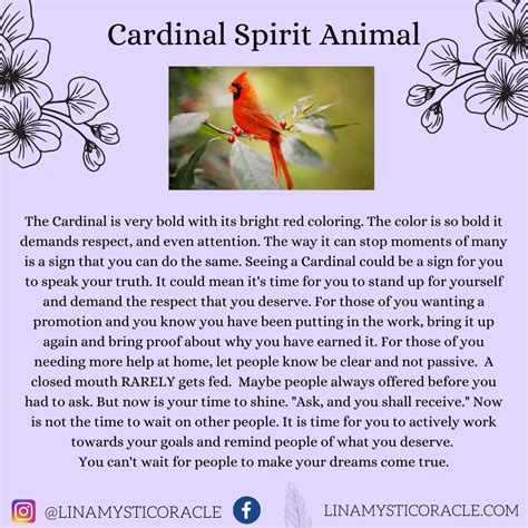 Cardinal Spiritual Meaning | Cardinal Spirit Animal | Animal spirit ...