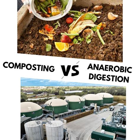 Composting vs. Anaerobic Digestion | Davidson Environmental