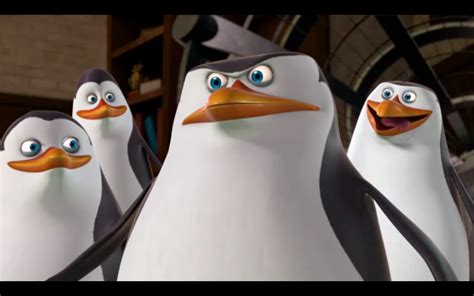 Worlds Best Skipper Expressions - Penguins of Madagascar Photo (30979355) - Fanpop