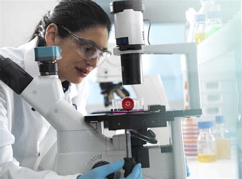 Human cell research, Female cell biologist examining a flask containing ...