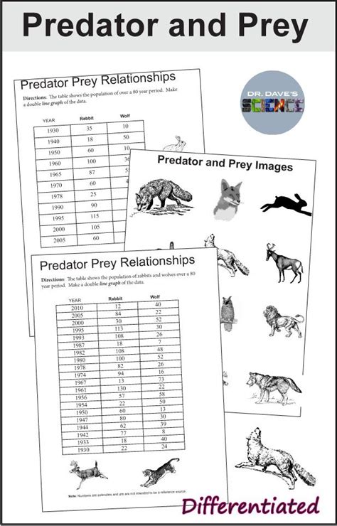 Predator and Prey Relationship and Graph NGSS MS-LS2-2 | Relationship worksheets, Graphing ...