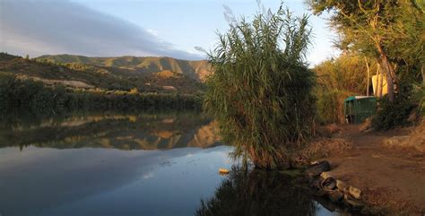 The Ebro River – Ebro Dream Fishing