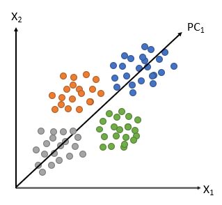 13 Most Common Econometrics Models