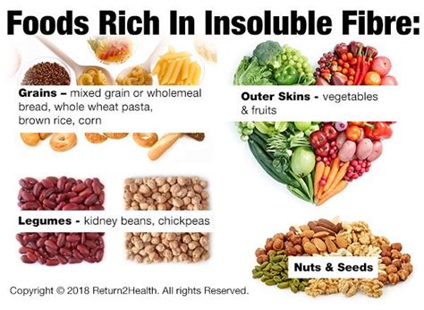 Lesson 23: Fibre - The Trauma Recovery Institute