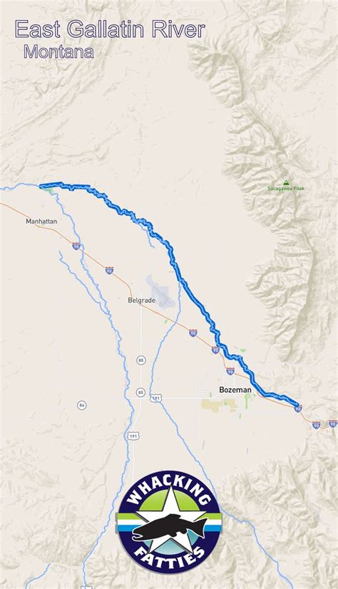 East Gallatin River Fishing Report | Gallatin river, Fishing trip, Fly fishing