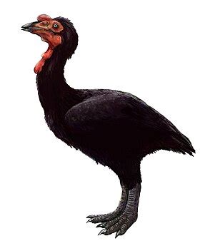 Atrociraptor - Wikipedia