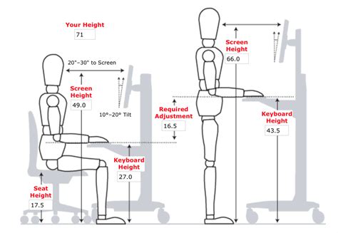Measurements for ergonomic desk setup. | Desk dimensions, Desk height, Diy standing desk