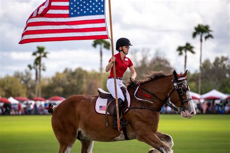 Photo Gallery - Sarasota Polo Club