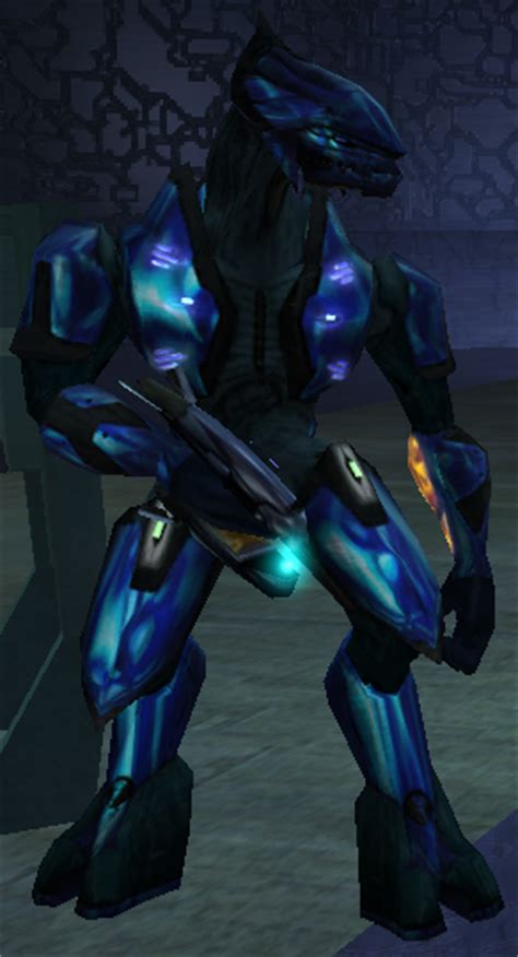 Sangheili Minor - Halo Nation — The Halo encyclopedia - Halo 1, Halo 2 ...