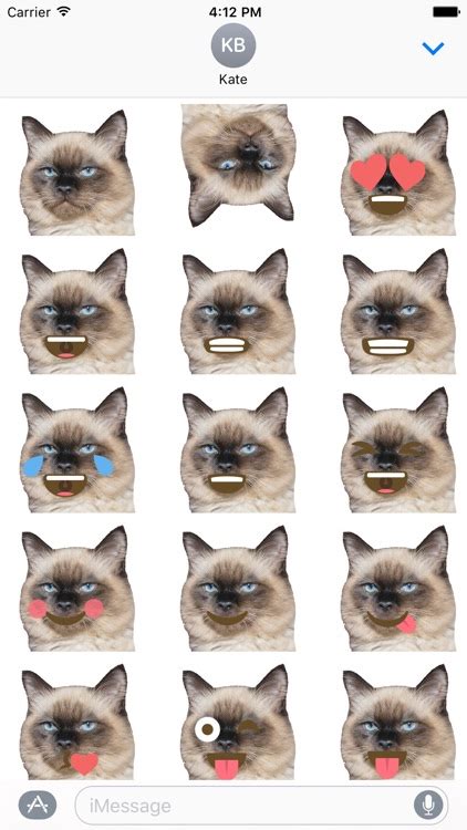 Cat Emoji Sticker Pack by Nick Fanger