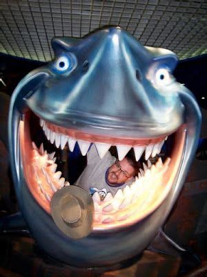 Disney Musings: Have You Ever Visited the Sharks at the Seas with Nemo and Friends? | Shark ...