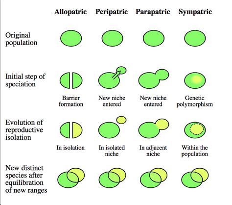 Speciation