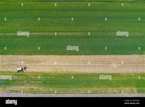 Aerial view of tractor on harvest field, drone shot Stock Photo - Alamy