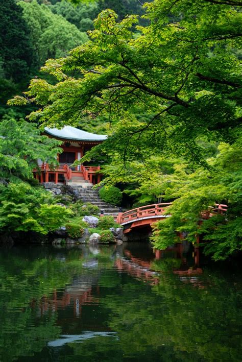 Kyoto, Japan | 藍迪 蔡 | Japanese garden landscape, Japan garden ...