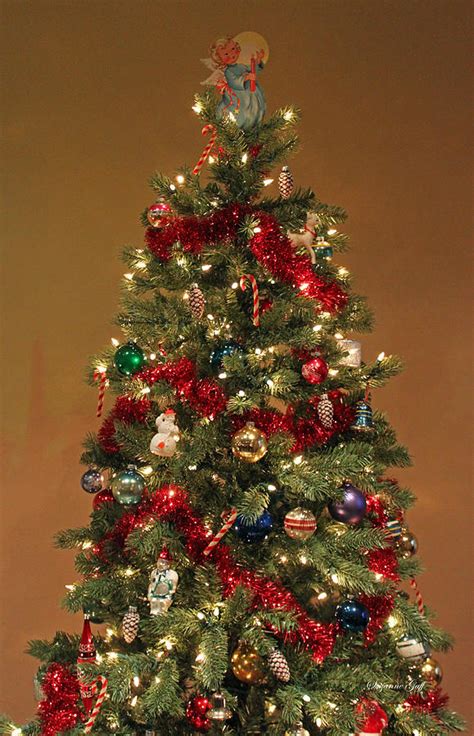 An Old Fashioned Christmas Tree Photograph by Suzanne Gaff