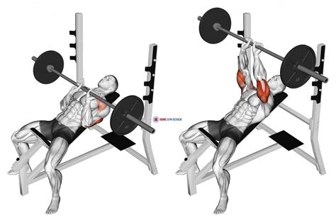 Barbell Incline Close Grip Bench Press - Home Gym Review
