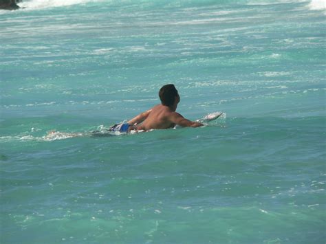 surfing in bondi beach Free Photo Download | FreeImages