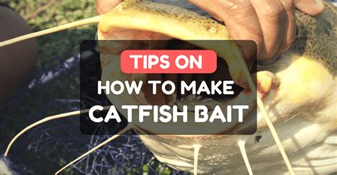 homemade catfish bait recipes