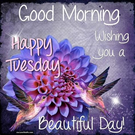 Good Morning Happy Tuesday Wishing You A Beautiful Day Pictures, Photos ...