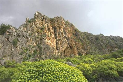 Visit the Beautiful and Sacred Mount Carmel in Northern Israel