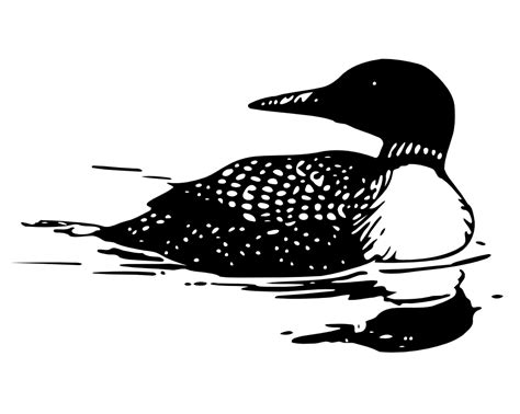 OnlineLabels Clip Art - Common Loon