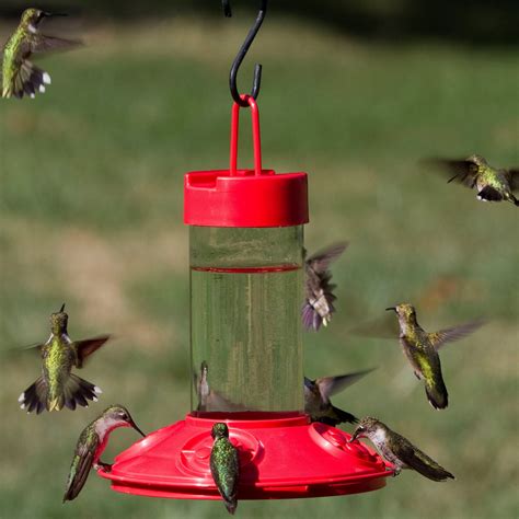 Hummingbird Feeders — Birdertown