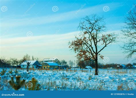 Snowy Rural Landscape in Winter Stock Photo - Image of beautiful, blue ...