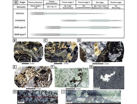 (A) Summary of the mineralogy and relative importance of each stage of ...