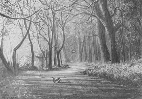 Forest Pencil Drawing
