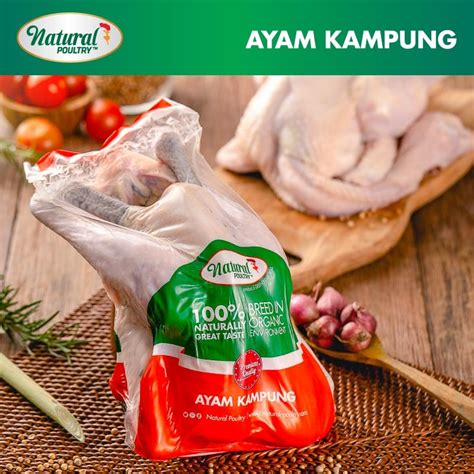 AYAM KAMPUNG ORGANIK NATURAL POULTRY - OVEGI