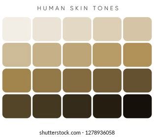 2,741 Beige Color Chart Royalty-Free Images, Stock Photos & Pictures | Shutterstock