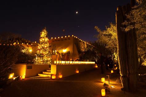 desert botanical garden luminaria - Willa Ashford