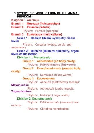 Synoptic classification of the animal kingdom | PDF