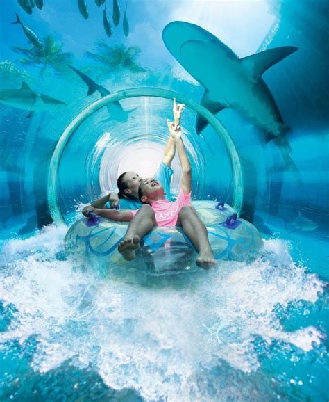 Journey into the heart of excitement at Aquaventure, the largest waterpark in th… | Balnearios ...