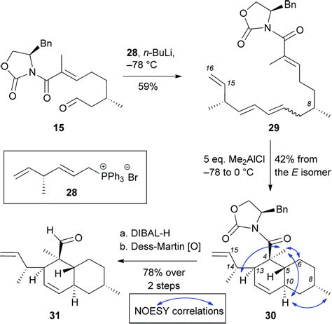 Synthetic strategies toward the decalin motif of maklamicin and related ...