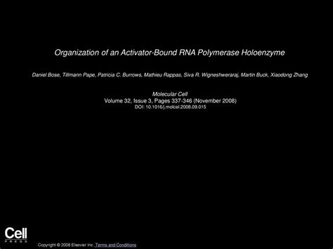 Organization of an Activator-Bound RNA Polymerase Holoenzyme - ppt download