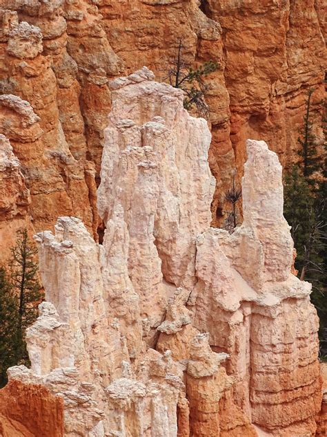 The geology in Bryce Canyon, Utah, is not only unique, it is one of the wonders of the world ...