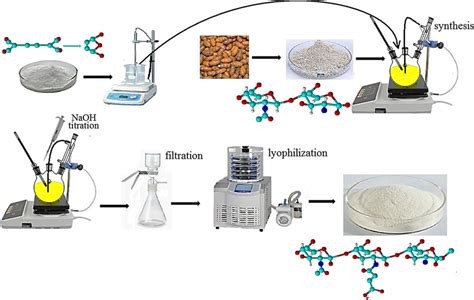 Scheme for the synthesis of N-succinyl chitosan based on chitosan... | Download Scientific Diagram