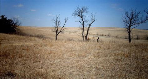 Tallgrass Prairie National Preserve