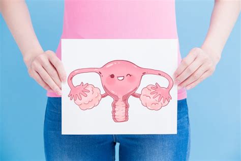 Enlarged Ovaries: Should You Be Concerned? - Women's Health Arizona