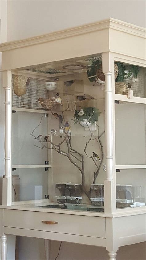 My indoor aviary and birds Diy Bird Cage, Bird Cage Design, Bird Cage Decor, Finch Cage, Parrot ...