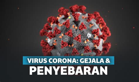 Apa Itu Virus Corona? Kenali Bentuk dan Penyebaran Covid-19