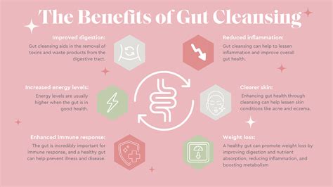 The Ultimate Guide to Gut Cleansing - Jess Wilson